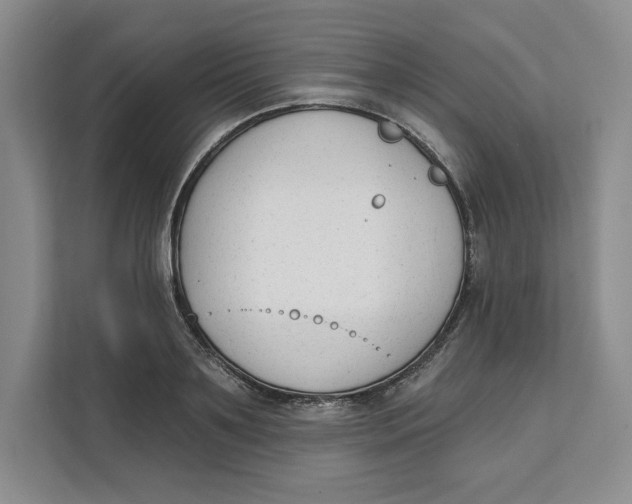 X0000111620891200908071348