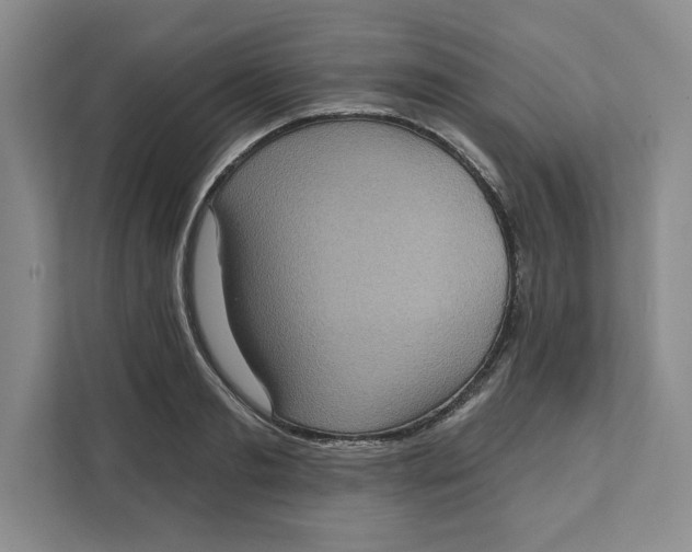 X0000111620893200908071348