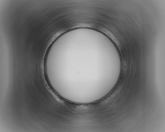 X0000111620898200908071348