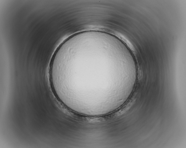 X0000111620899200908071348