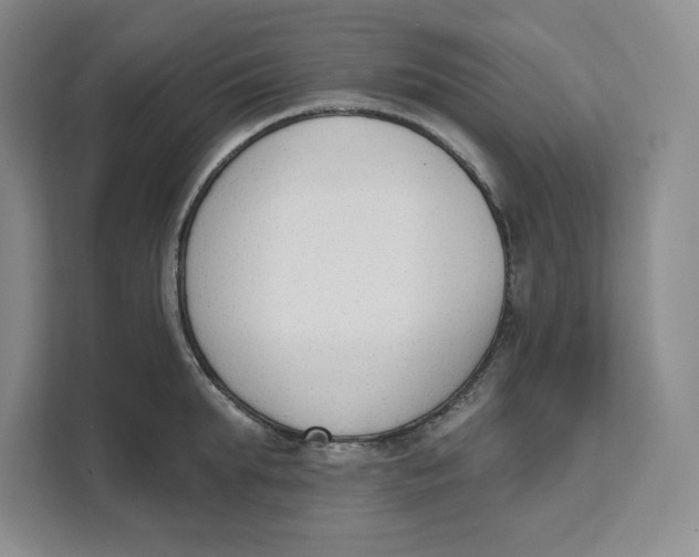 X0000111620903200908071348