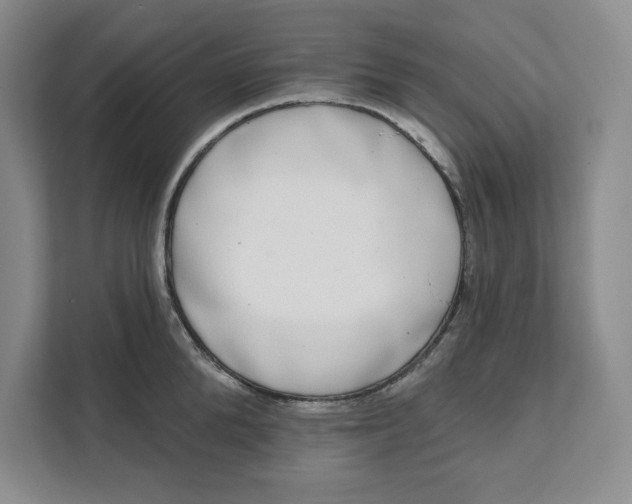 X0000111620904200908071348