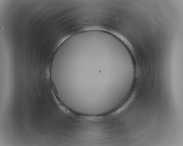 X0000111620905200908071348