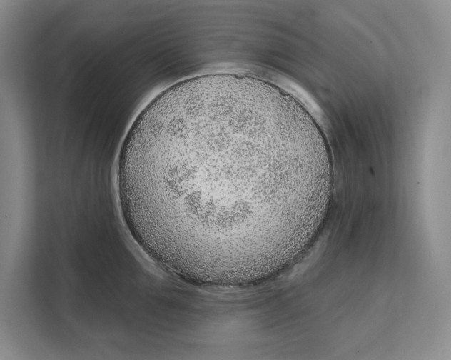 X0000111620907200908071348