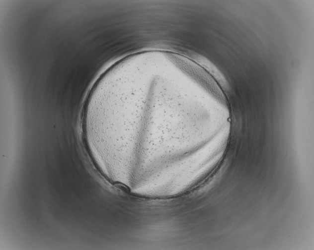 X0000111620908200908071348