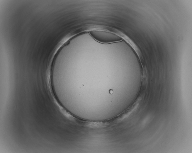 X0000111620909200908071348