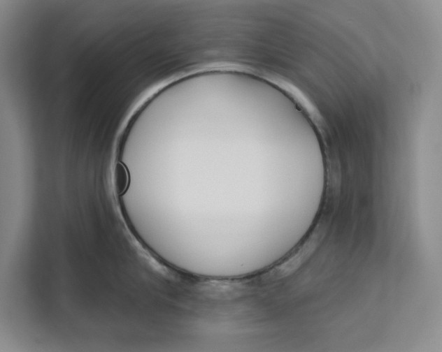 X0000111620910200908071348