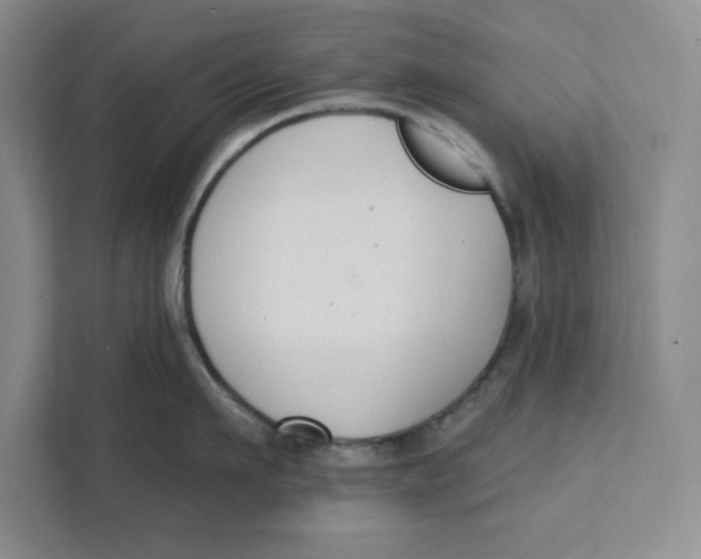 X0000111620911200908071348