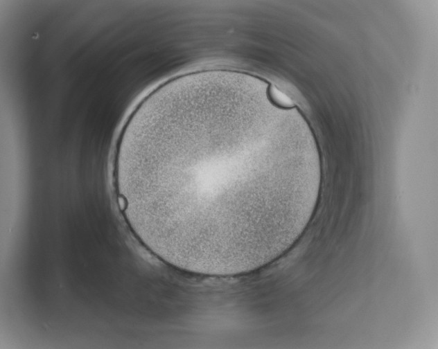 X0000111620912200908071348