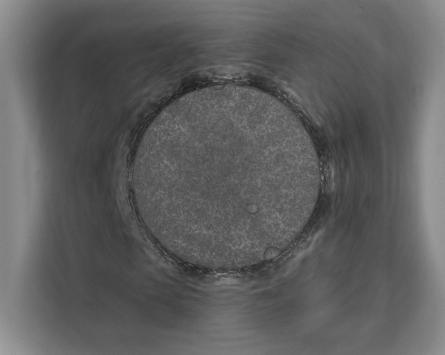 X0000111620913200908071347