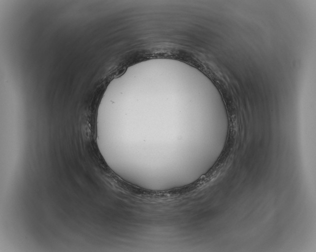 X0000111620916200908071347