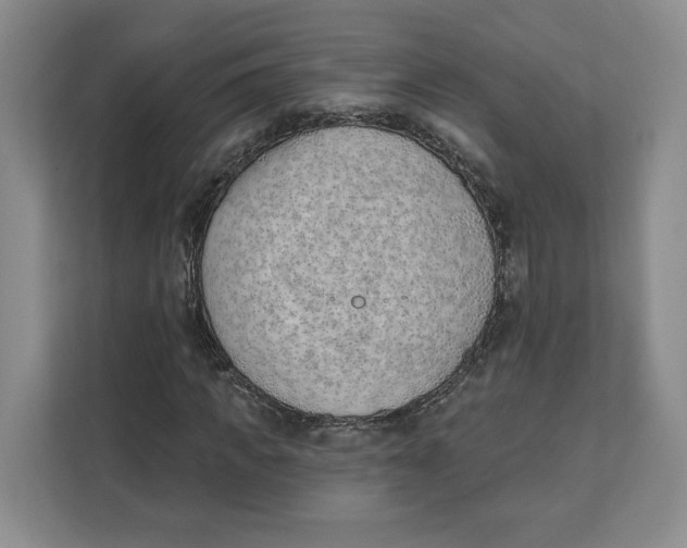 X0000111620917200908071347