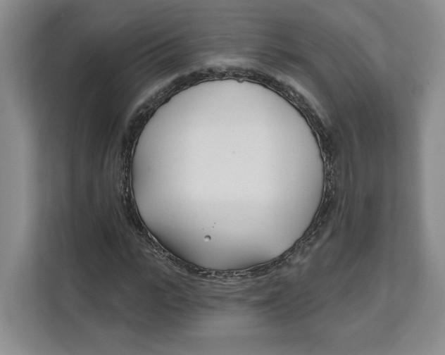 X0000111620919200908071347