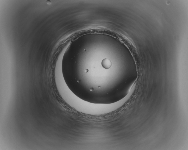 X0000111620920200908071347