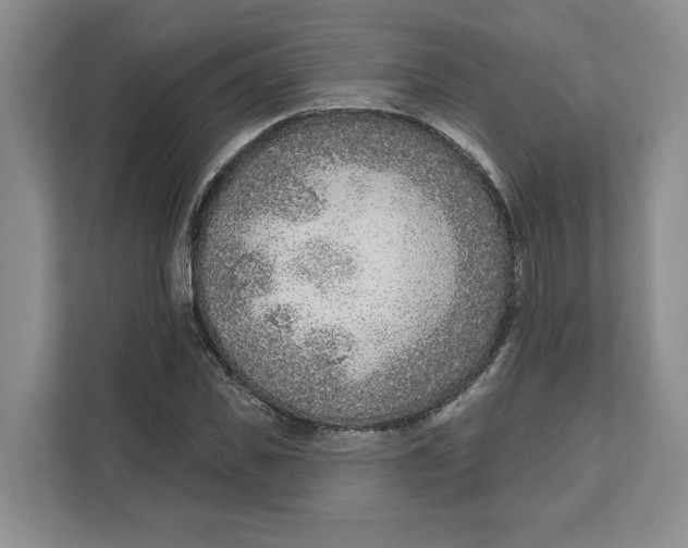 X0000111620925200908071348