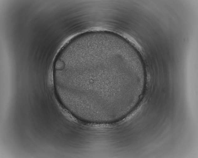 X0000111620934200908071348