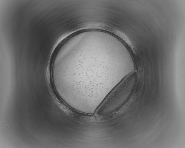 X0000111620936200908071348