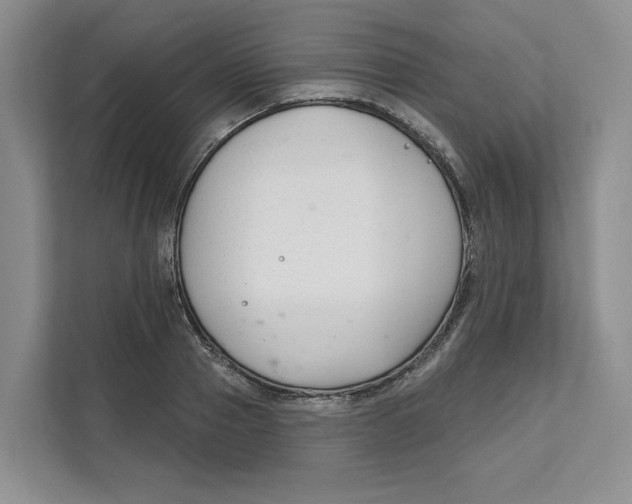 X0000111620937200908071348