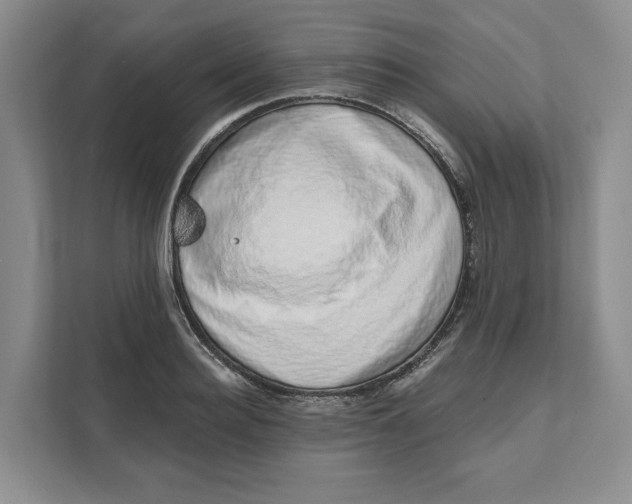 X0000111620940200908071348