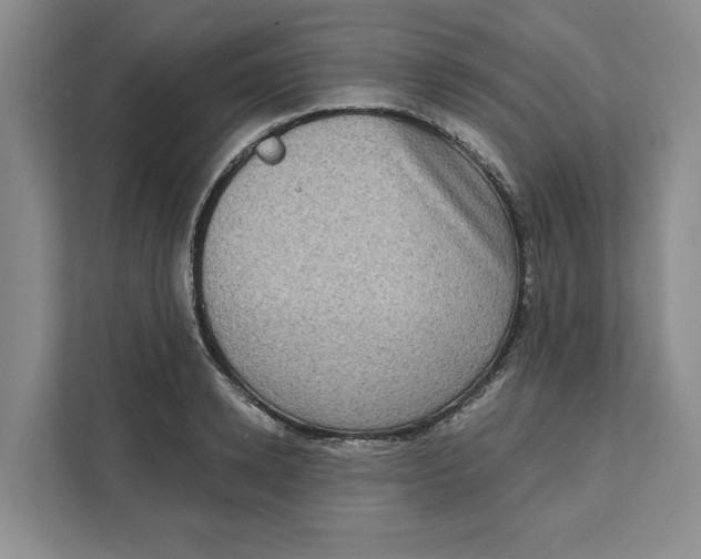 X0000111620942200908071348