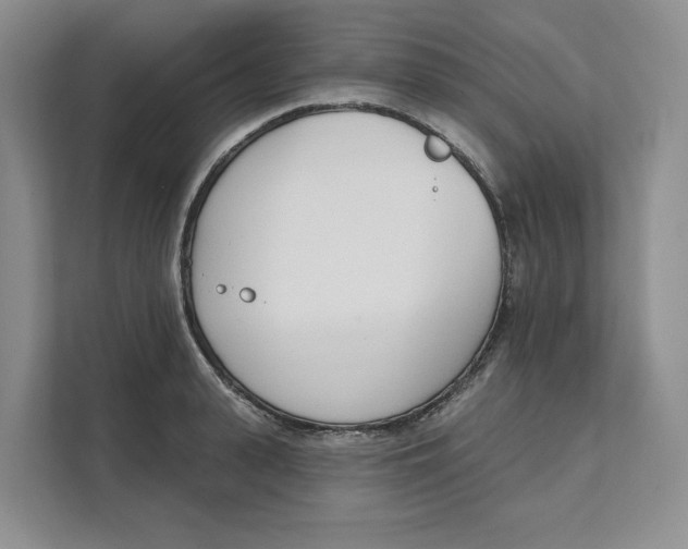 X0000111620943200908071348