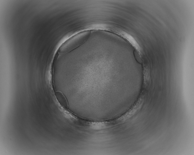 X0000111620944200908071348