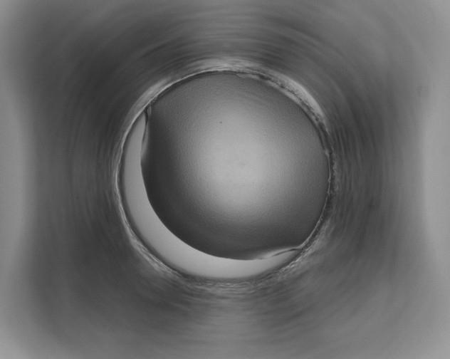 X0000111620946200908071348