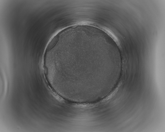 X0000111620948200908071348