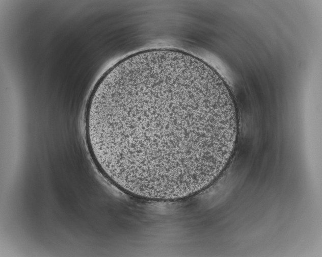 X0000111620950200908071348