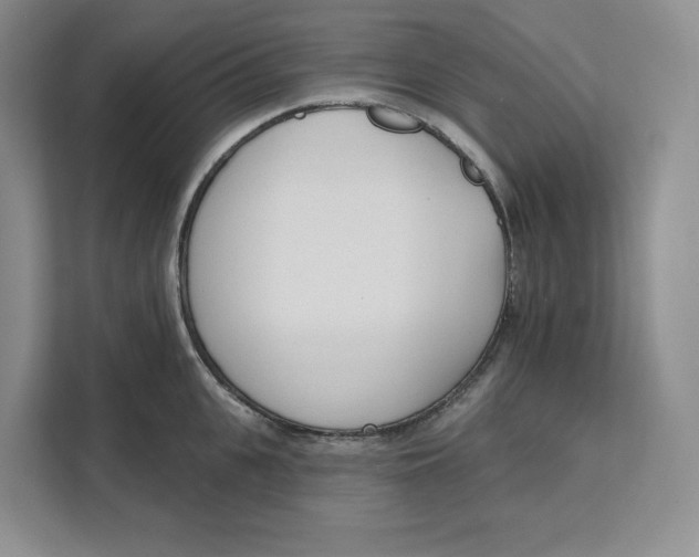 X0000111620951200908071348