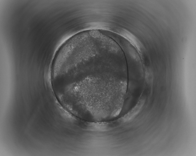 X0000111620952200908071348