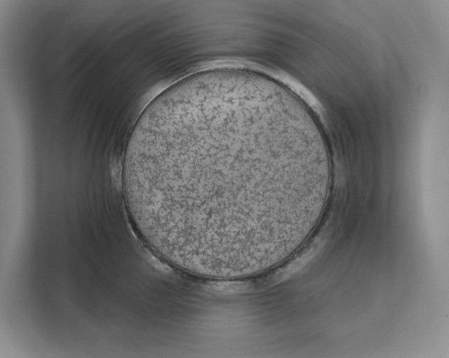 X0000111620953200908071348