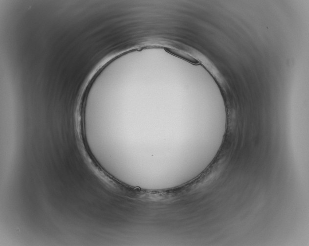 X0000111620955200908071348