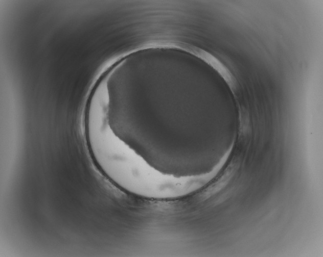 X0000111620958200908071348