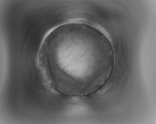 X0000111620960200908071348