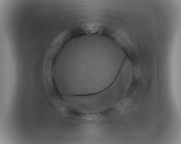 X0000111620961200908071347