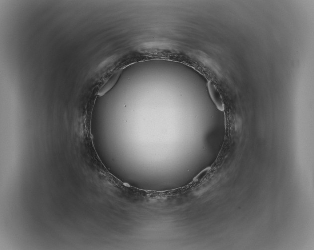 X0000111620965200908071347