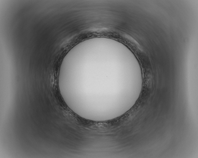 X0000111620966200908071347