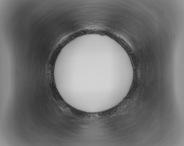 X0000111620968200908071347