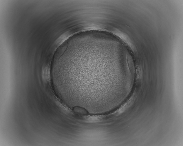 X0000111620969200908071347