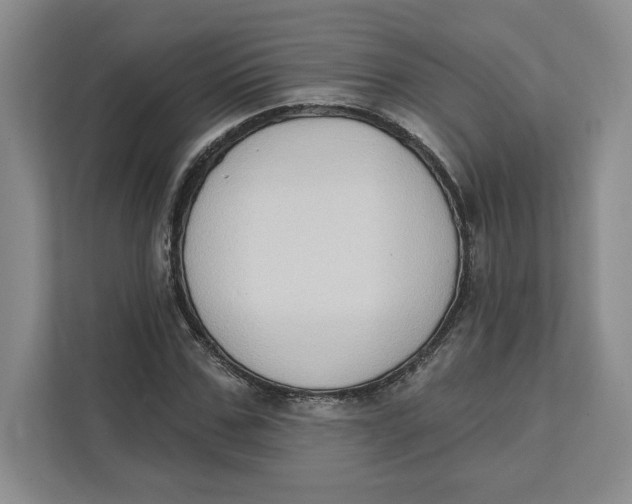 X0000111620971200908071347