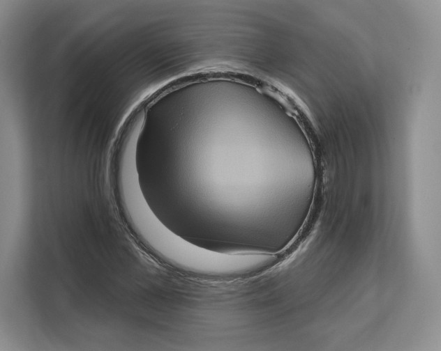 X0000111620973200908071347