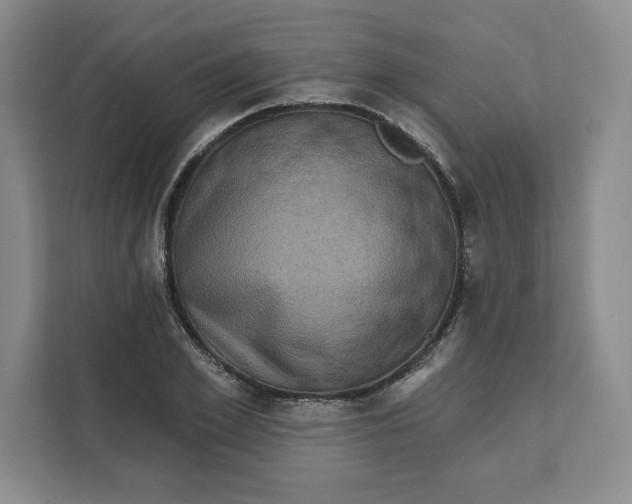 X0000111620981200908071347