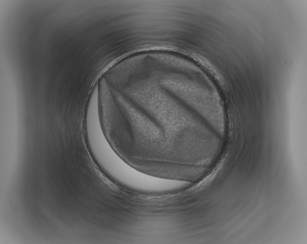 X0000111620985200908071347