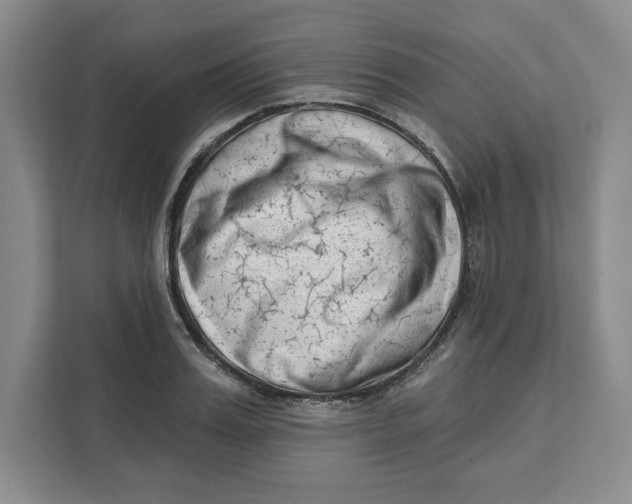 X0000111620987200908071347