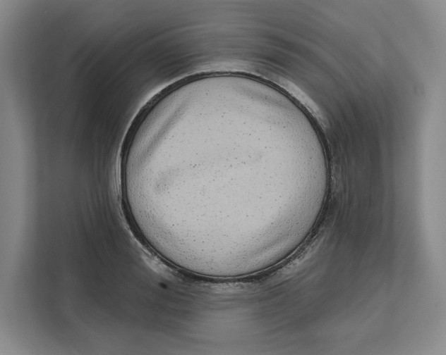 X0000111620988200908071347