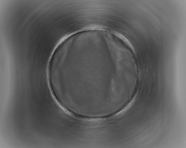 X0000111620989200908071347