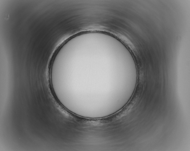 X0000111620990200908071347