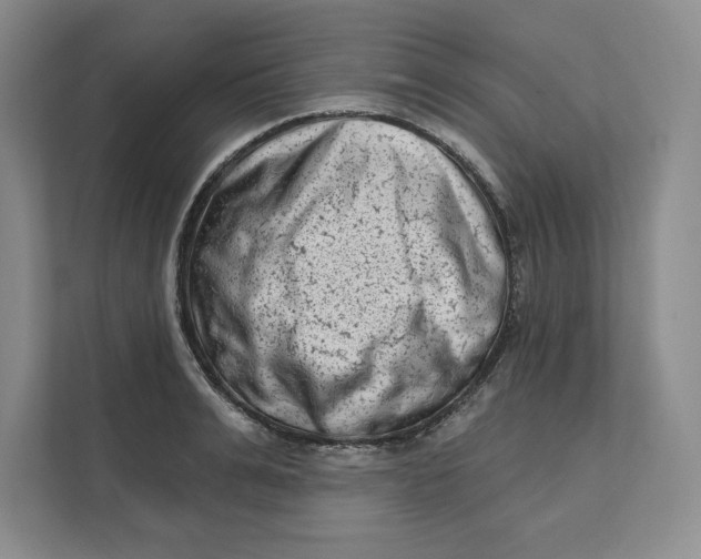 X0000111620991200908071347