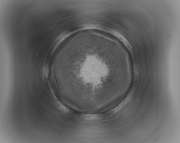 X0000111620993200908071347